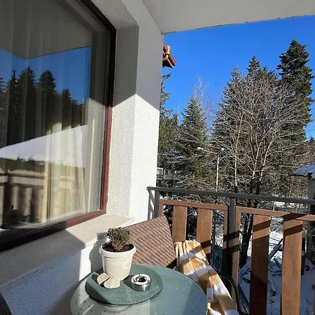 Arboro Gardens E43 Apartment *