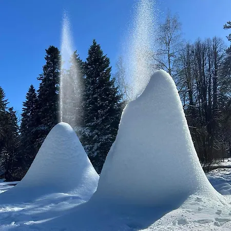 Arboro Gardens E43 * Borovets