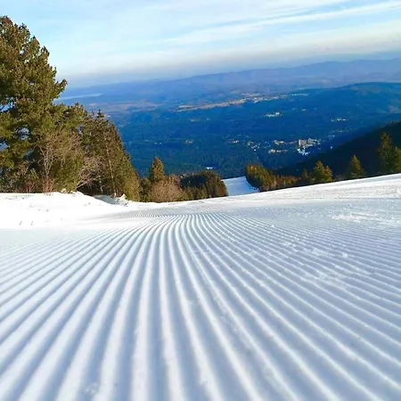 Arboro Gardens E43 Apartment