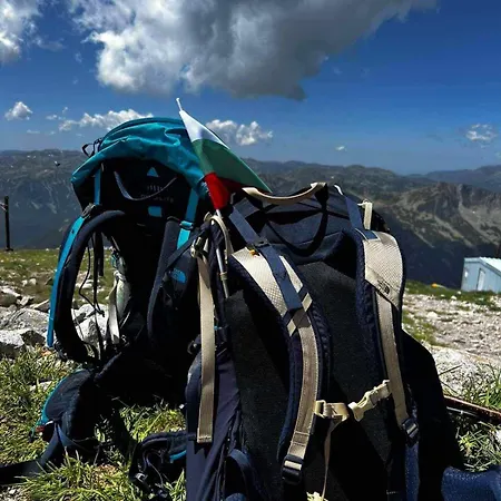 Arboro Gardens E43 Apartment Borovets