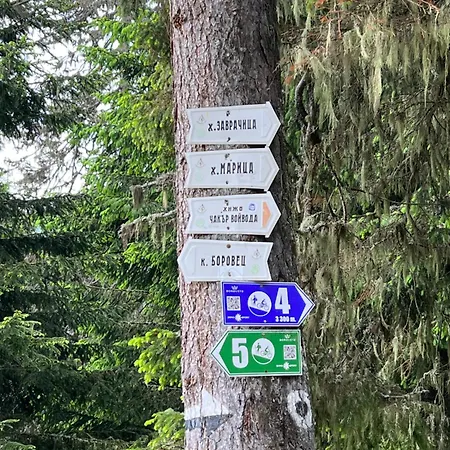 Apartment Arboro Gardens E43 *