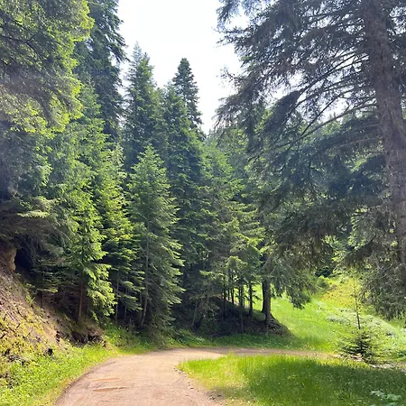 Arboro Gardens E43 *