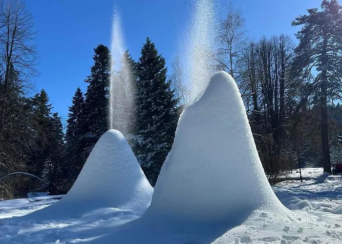 Arboro Gardens E43 * Borowec