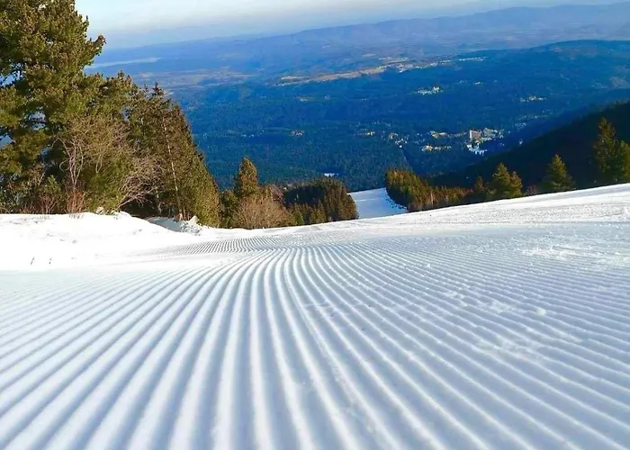 Arboro Gardens E43 Apartament