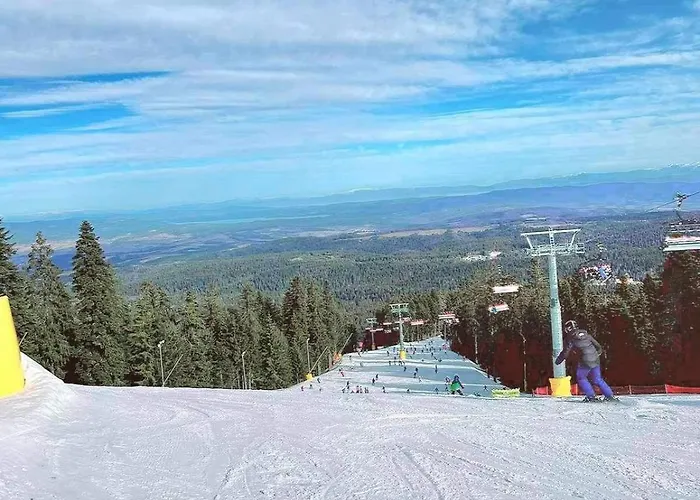 Arboro Gardens E43 Apartament