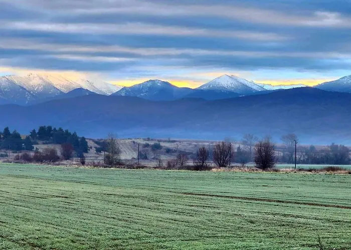 Arboro Gardens E43 *