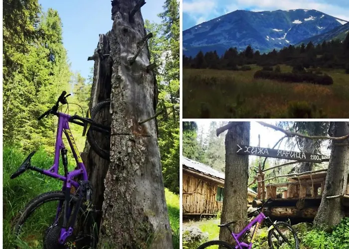 Apartament Arboro Gardens E43