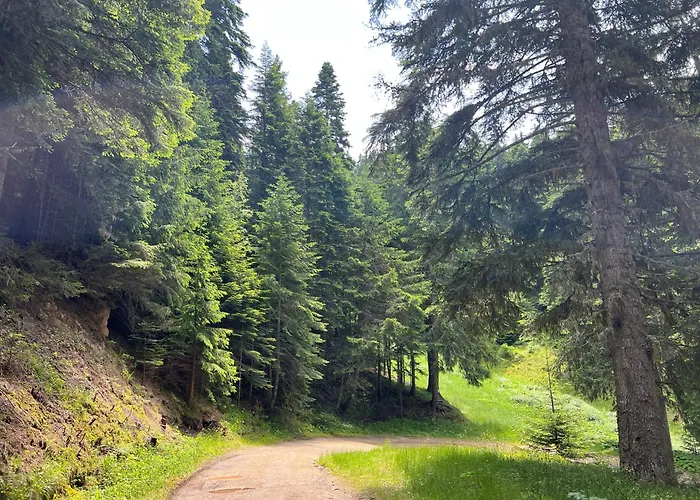 Arboro Gardens E43 *